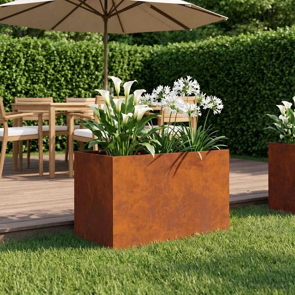 Se afișează imaginea 2 din 10