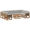 vidaXL Set de canapele de exterior 10 buc. Natural și gri deschis
