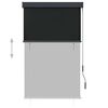 vidaXL Jaluzea tip rulou de exterior, antracit, 100 x 250 cm