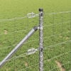 Imagine in miniatură a produsului 5 din 17