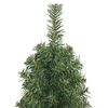 Imagine in miniatură a produsului 11 din 14