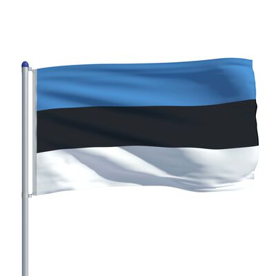vidaXL Steag Estonia și stâlp din aluminiu, 6 m
