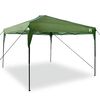 vidaXL Cort Canopy Pop-up Verde 300 x 300 cm țesătură