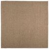 vidaXL Covor pentru interior și exterior AGIRA natural 200 x 200 cm