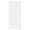 vidaXL Dulap, alb, 60x31x70 cm, lemn prelucrat