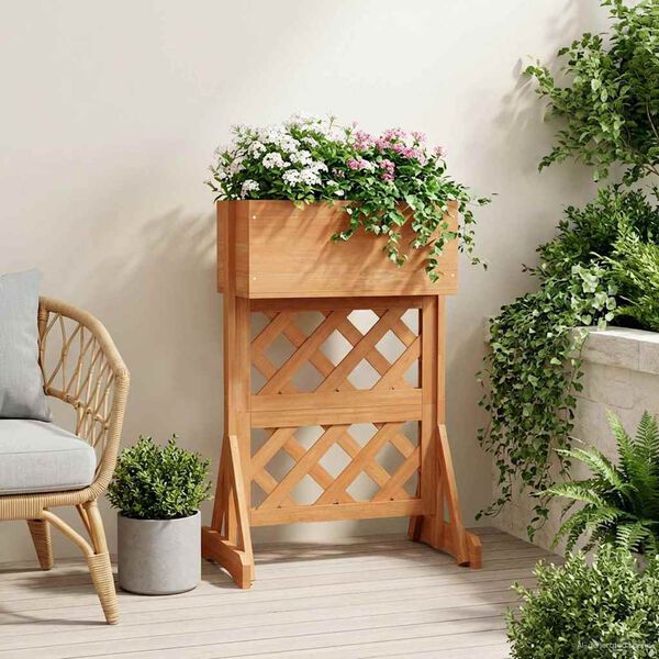 Se afișează imaginea 4 din 10