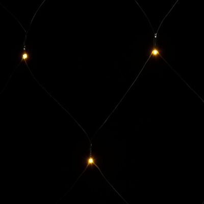 vidaXL Plasă luminoasă de Crăciun, alb cald, 3x2 m, 204 LED, int/ext
