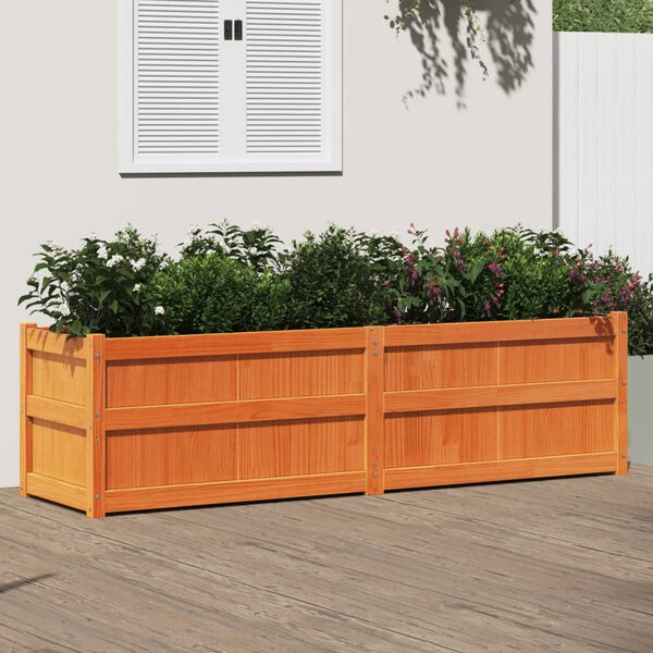 Se afișează imaginea 2 din 11