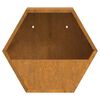 vidaXL Jardiniere de perete, 2 buc., ruginiu, 30x10x25 cm, oțel corten