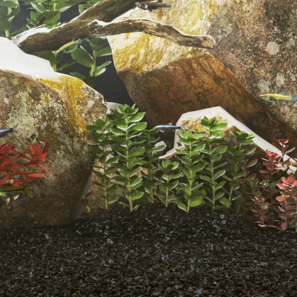 Se afișează imaginea 2 din 5