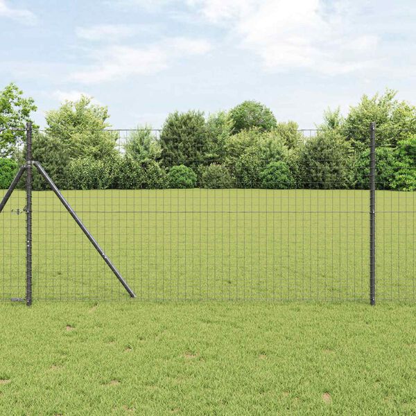 Se afișează imaginea 2 din 6