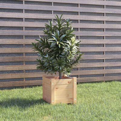 vidaXL Jardiniere de grădină, 2 buc., 31x31x31 cm, lemn masiv de pin
