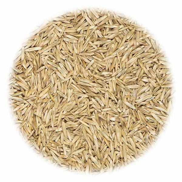 vidaXL Semințe gazon pentru uz sportiv și jocuri 20 kg