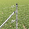 Imagine in miniatură a produsului 5 din 17