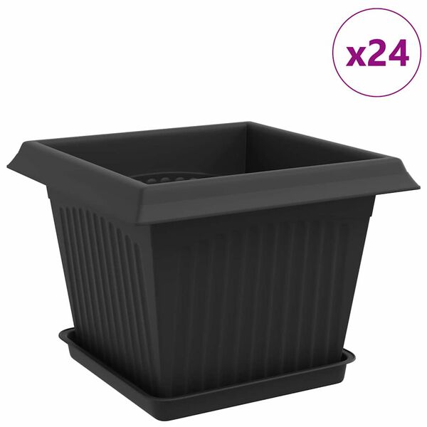 Se afișează imaginea 1 din 12