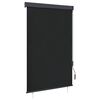 vidaXL Jaluzea tip rulou de exterior, antracit, 120 x 250 cm