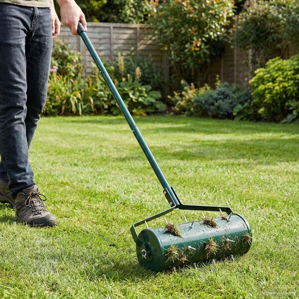 Se afișează imaginea 2 din 8