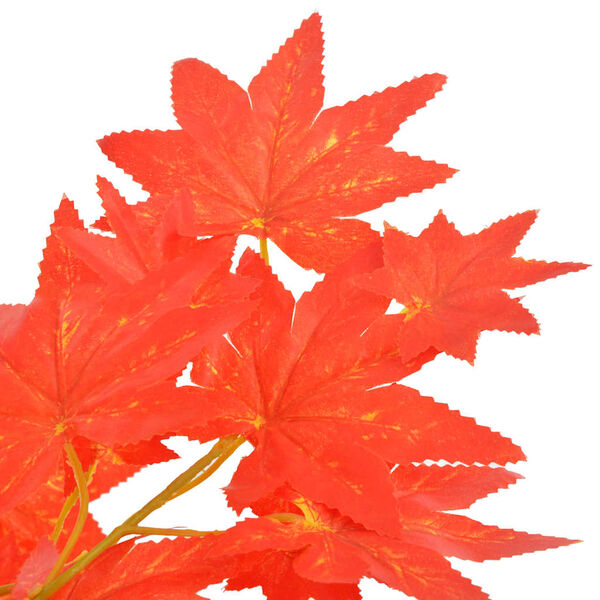 Se afișează imaginea 2 din 2