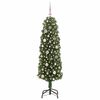 Imagine in miniatură a produsului 2 din 13