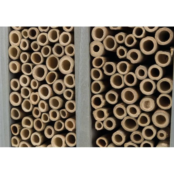 TRIXIE Hotel pentru albine, 30x35x12 cm, lemn de pin