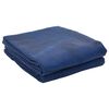 vidaXL Covoare pentru Cort albastru 800 x 350 cm Poliester
