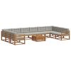 vidaXL Set de canapele de exterior 11 pcs Gri natural și deschis