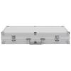 vidaXL Valiză pentru armă, argintiu, aluminiu ABS