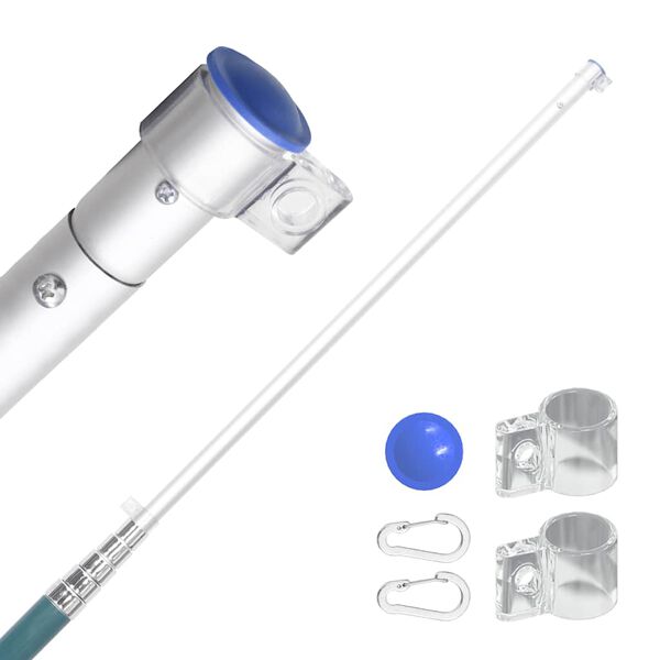 vidaXL Stâlp de steag telescopic, argintiu, 5,55 m, aluminiu