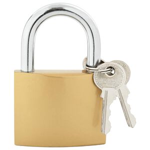 vidaXL U Lock cu Chei 12 buc. Alamă Fier
