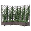 Imagine in miniatură a produsului 7 din 8