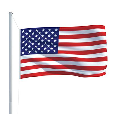 vidaXL Steag SUA și stâlp din aluminiu, 6,2 m