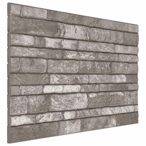 vidaXL Panouri de perete 10 buc. 100 x 50 cm Gri &icirc;nchis Spumă EPS