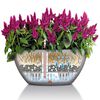 LECHUZA Jardinieră CUBETO Color 30 ALL-IN-ONE, gri piatră, 13830