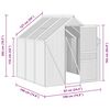 vidaXL Seră cu cadru de bază, antracit, 3,61 m&sup2;, aluminiu