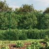 Imagine in miniatură a produsului 2 din 6