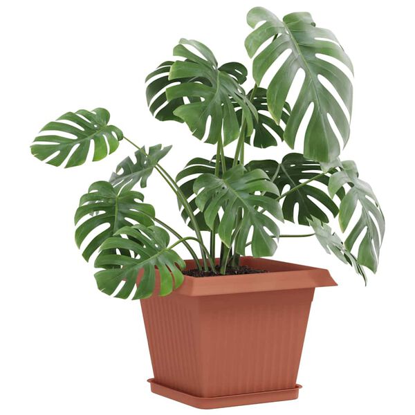 Se afișează imaginea 3 din 10