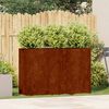 vidaXL Jardinieră Rusty 120x40x80 cm Oțel pentru intemperii