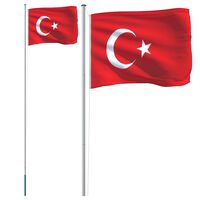 vidaXL Steag Turcia și stâlp din aluminiu, 6,23 m