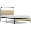 Sonoma_oak