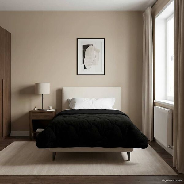 Se afișează imaginea 2 din 10