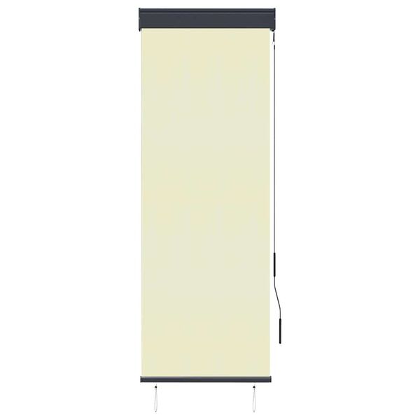 vidaXL Jaluzea tip rulou de exterior, crem, 60 x 250 cm