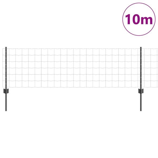 Se afișează imaginea 3 din 11