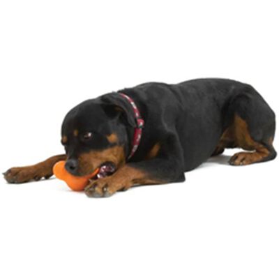441987 West Paw Dog Toy with Zogoflex "Tux" Tangerine Orange L