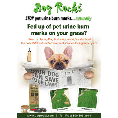 Dog Rocks Pietre anti-urină de câini pentru gazon