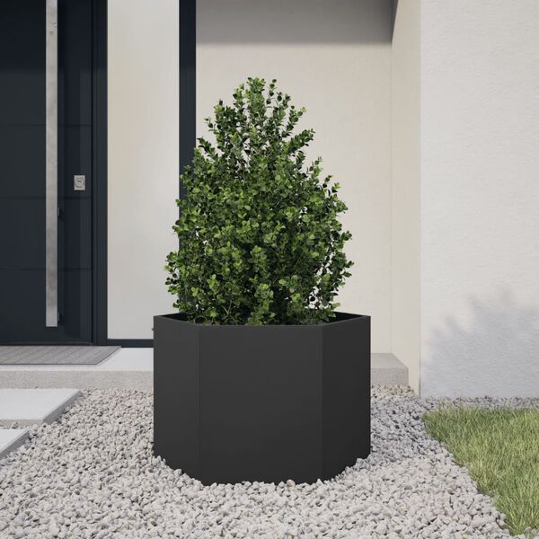 Se afișează imaginea 2 din 10