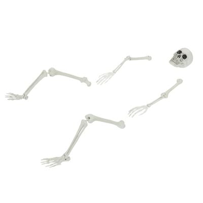 Schelet Halloween cu țăruși de sol alb 45,5 x 13 cm