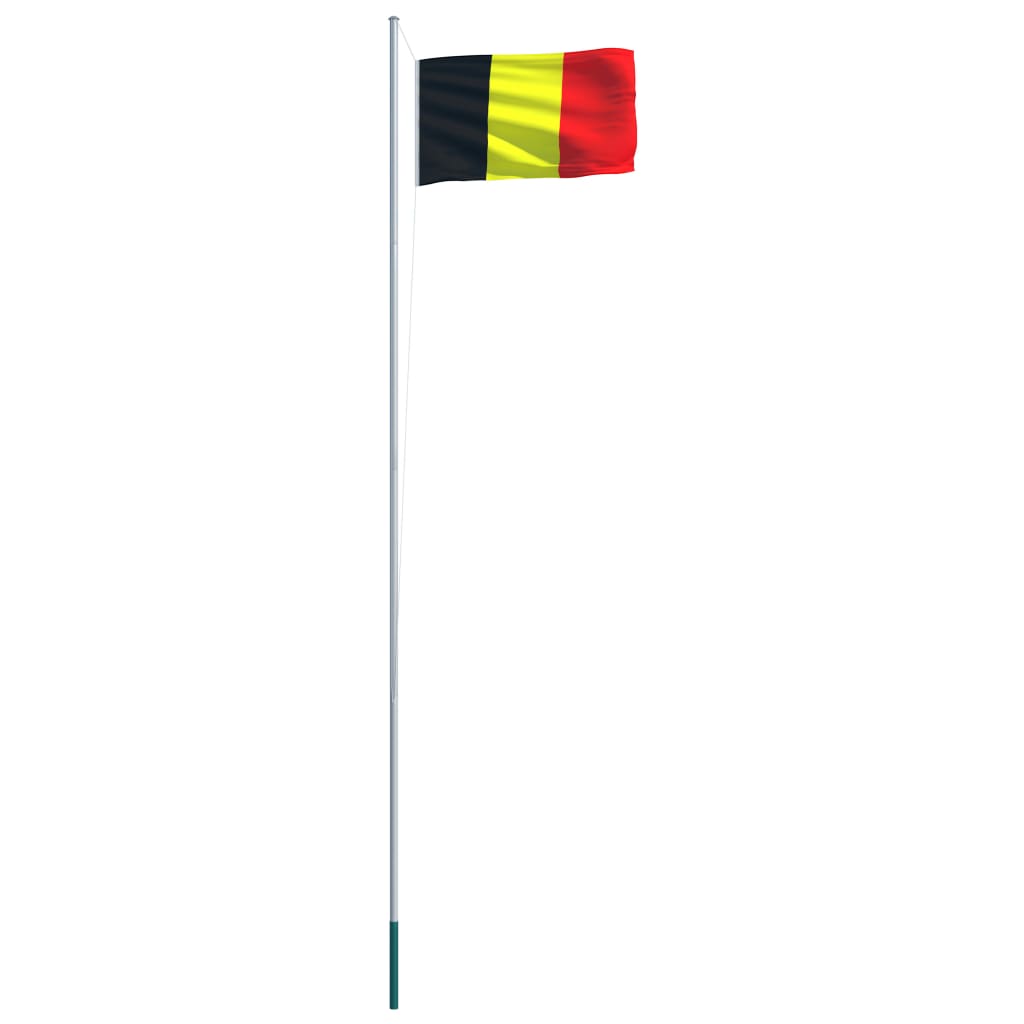 vidaXL Steag Belgia și stâlp din aluminiu, 6,2 m