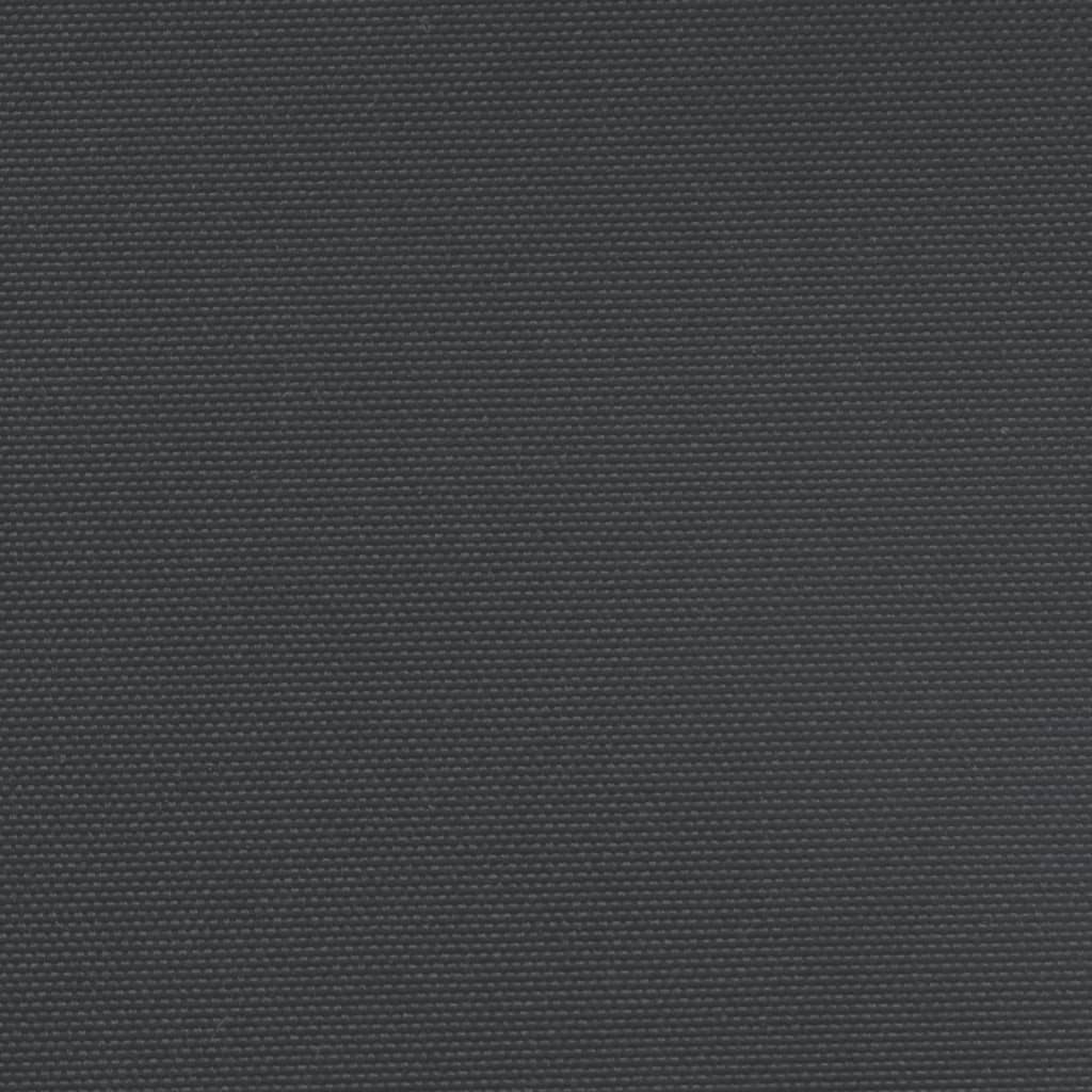 vidaXL Copertină laterală retractabilă, negru, 120x1200 cm