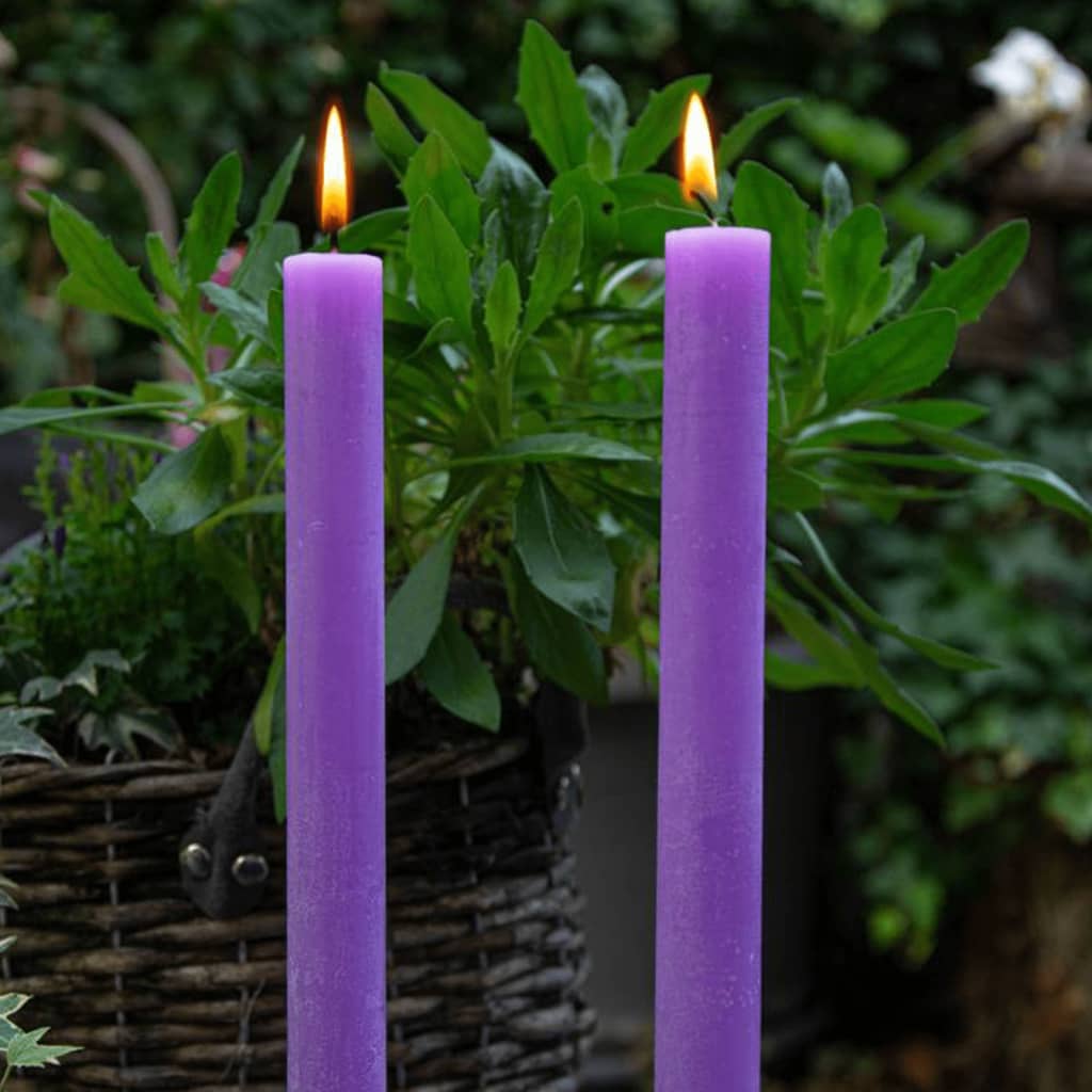 Bolsius Lumânări de masă Shine, 16 buc., violet vibrant, 27 cm