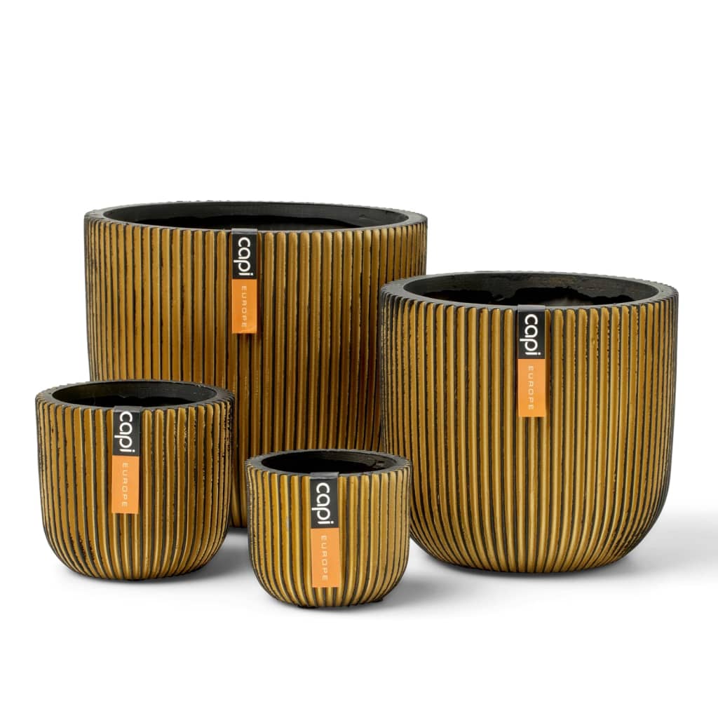 Capi Set de vaze în formă de bol, 4 piese, "Groove", auriu
